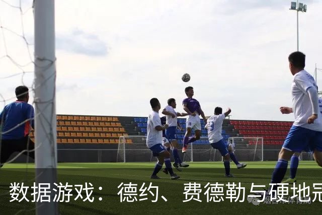 数据游戏：德约、费德勒与硬地冠军的真实故事